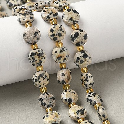 Natural Dalmatian Jasper Beads Strands G-G271-C01-10mm-1