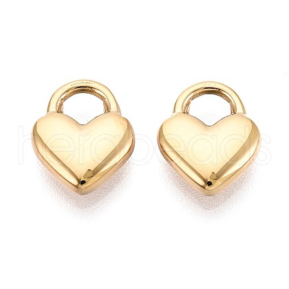 304 Stainless Steel Charms STAS-N109-194G-1