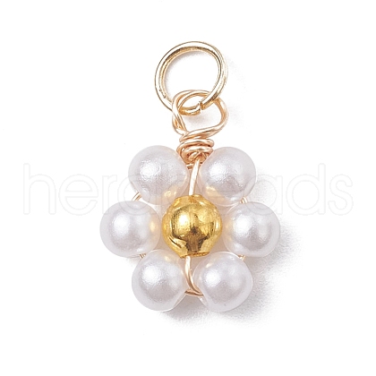 Acrylic Pendants PALLOY-JF02559-S-1