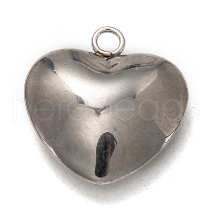 Non-Tarnish 304 Stainless Steel Pendants STAS-I170-15P-1