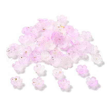 Acrylic Bead Caps OACR-Z028-03A-1