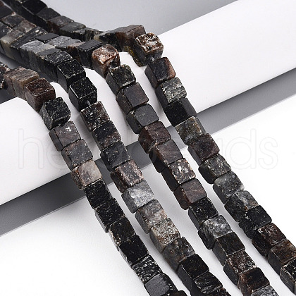 Natural Biotite Beads Strands G-T140-39A-1