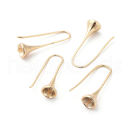 Brass Earring Hooks KK-I655-10G-1
