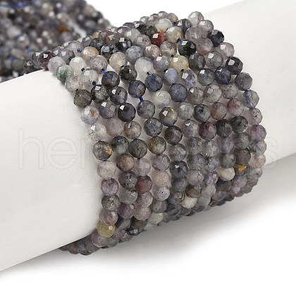 Natural Iolite Beads Strands G-G188-B04-06A-1
