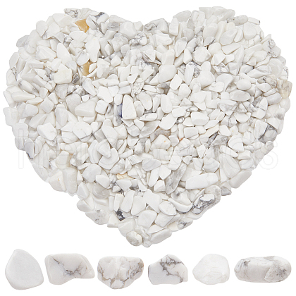 SOFPLATE 500G Howlite Chip Beads G-SP0001-04-1