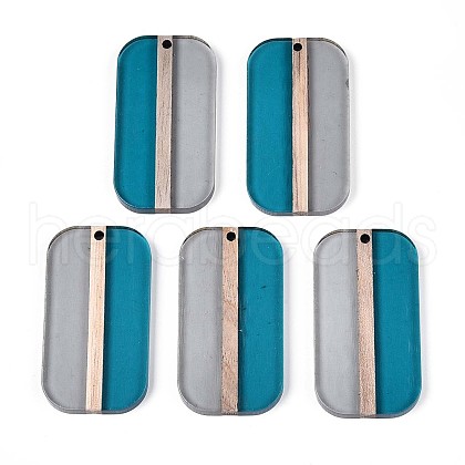 Transparent Resin & Wood Pendants RESI-T057-64A-1
