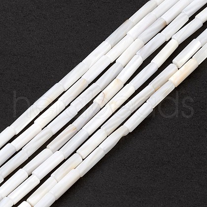 Natural Freshwater Shell Beads Strands SHEL-M018-10-1