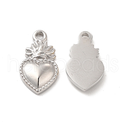 Non-Tarnish 304 Stainless Steel Charms STAS-F284-14P-1