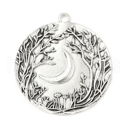 Tibetan Style Alloy Big Pendants TIBEP-F077-01D-1