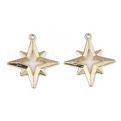 Epoxy Resin Pendants RESI-T045-027D-1
