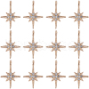 SUNNYCLUE 30Pcs Alloy Rhinestone Pendants FIND-SC0011-04-1