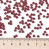 MIYUKI Round Rocailles Beads X-SEED-G008-RR2410-4