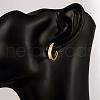 Fancy Style Ring Brass Cubic Zirconia Hoop Earrings EJEW-BB06805-G-5