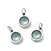 304 Stainless Steel Pendants STAS-D189-07P-C-2