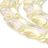 Electroplate Glass Beads Strands EGLA-H103-FR01-3