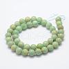 Natural Amazonite Beads Strands G-P322-22-10mm-4