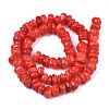 Natural Trochid Shell/Trochus Shell Beads Strands SHEL-S258-081-B06-2