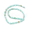 Natural Freshwater Shell Dyed Beads Strands SHEL-M018-13-3