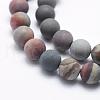 Natural Ocean Agate/Ocean Jasper Beads Strands G-G716-02-8mm-3