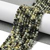 Natural Prehnite Beads Strands G-G189-D07-02-2