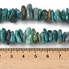 Natural Chrysocolla Chip Beads Strands G-P578-A01-01-5