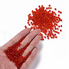 Glass Seed Beads SEED-A004-4mm-5-4