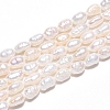 Natural Cultured Freshwater Pearl Beads Strands PEAR-N014-04G-2