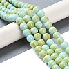 Baking Paint Glass Bead Strands GLAA-H031-01C-08-2