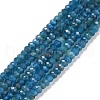 Natural Apatite Beads Strands G-E194-10-1