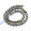 Natural Labradorite Beads Strands G-P336-19-8mm-2