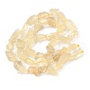 Raw Rough Natural Lemon Quartz Beads Strands G-M453-C01-3
