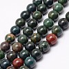 Natural Indian Bloodstone Beads Strands G-P257-07-10mm-1