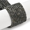 Natural Labradorite Beads Strands G-L622-B02-4x2mm-2