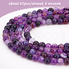 Olycraft 4 Strands Natural Fire Crackle Agate Beads Strands G-OC0003-09-4