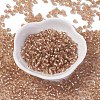 6/0 Glass Seed Beads X1-SEED-A005-4mm-39A-1