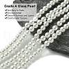 Eco-Friendly Glass Pearl Beads GLAA-S173-6mm-01-2