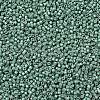 MIYUKI Delica Beads X-SEED-J020-DB1171-3