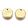 316 Surgical Stainless Steel Charms STAS-S116-418F-G-3