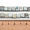 Natural Variscite Beads Strands G-T140-41A-5