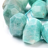 Natural Amazonite Beads Strands G-I283-C03-3
