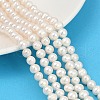 Natural Cultured Freshwater Pearl Beads Strands PEAR-I007-07W-01-1