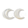 Natural White Shell Beads SSHEL-M021-14-2