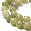 Natural Jade Beads Strands G-K340-A02-02-4