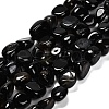 Natural Black Agate(Dyed and Heated) Beads Strands G-P568-C16-01-2