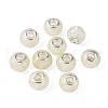 Glow In The Dark Handmade Luminous Style Lampwork Large Hole European Beads LPDL-R007-02I-2
