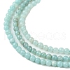 Natural Amazonite Beads Strands G-K365-C04-01-4