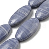 Synthetic Blue Lace Agate Beads Strands G-B071-H02-02-1