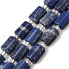 Natural Lapis Lazuli Beads Strands G-Z087-C01-2