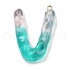 Resin Pendant FIND-Q107-01V-01-1