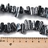 Dyed Natural Trochus Shell Beads Strands SSHEL-C013-09A-4